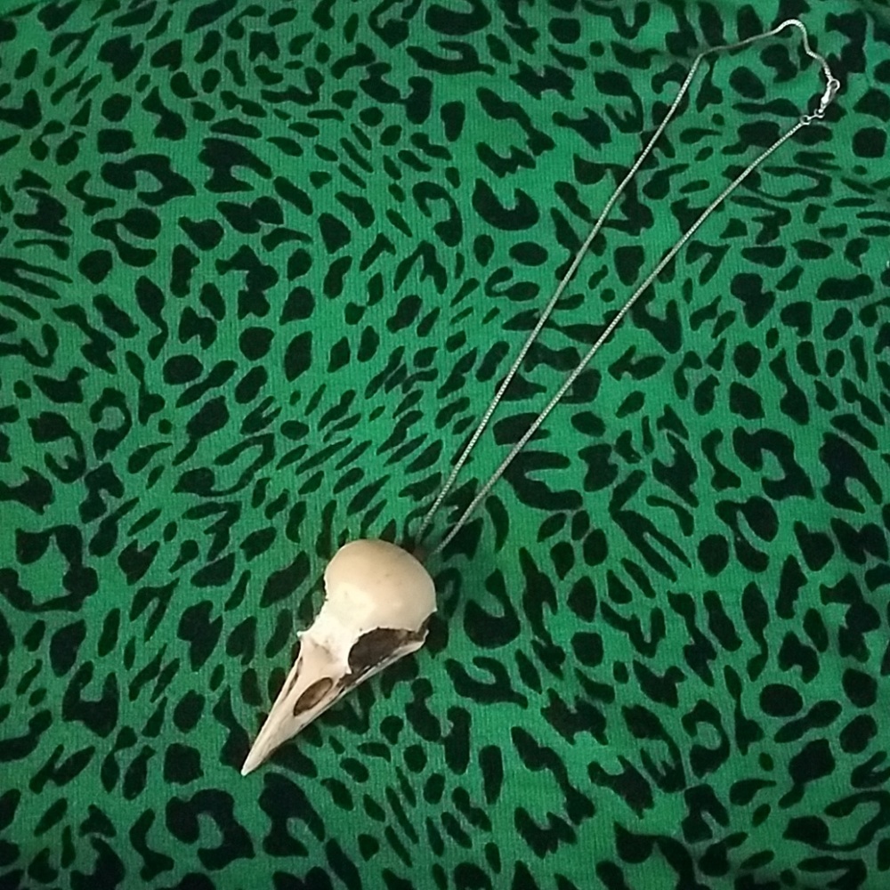 Resin crow skull necklace